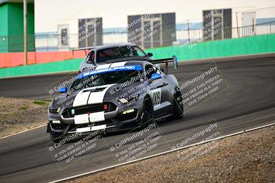 media/Feb-25-2024-Speed Ventures (Sun) [[b9a2a97a4d]]/Mustang Drivers Club/Session 1 (Turns 4 and 5)/